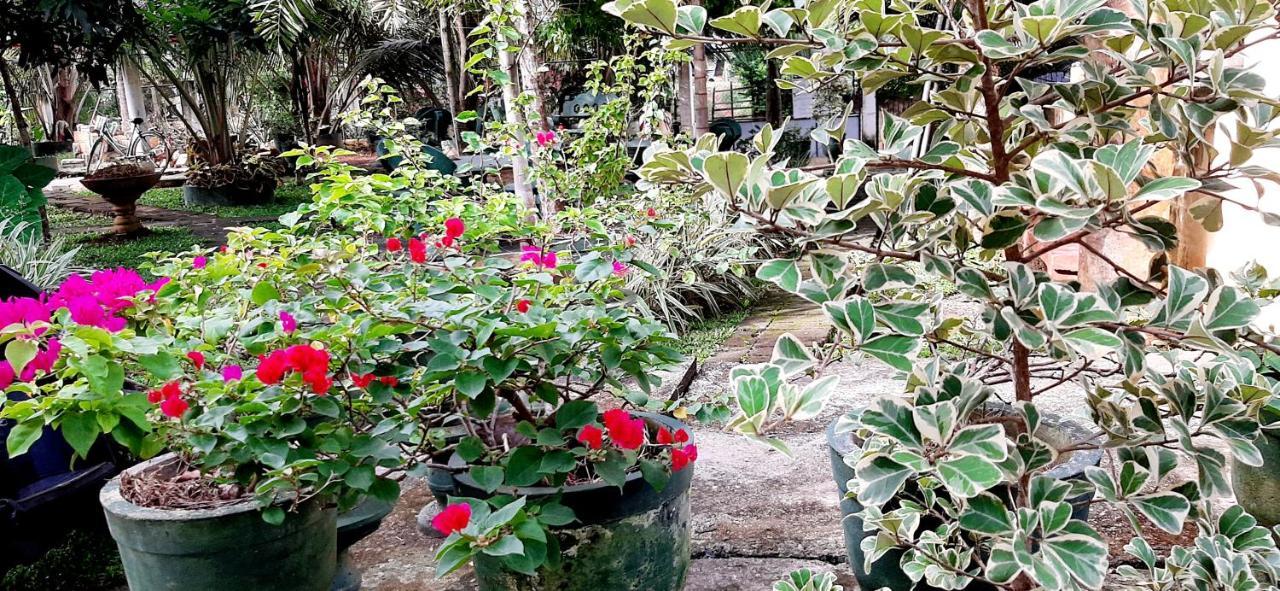 Hiriketiya Cinnamon Garden Dikwella Exterior foto