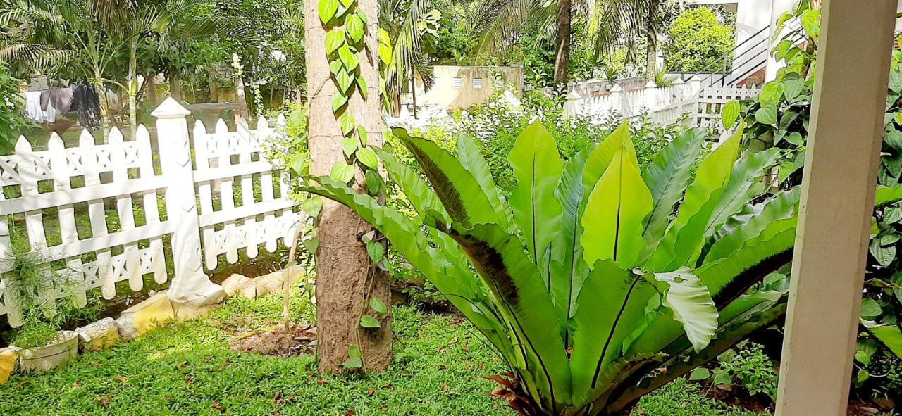 Hiriketiya Cinnamon Garden Dikwella Exterior foto