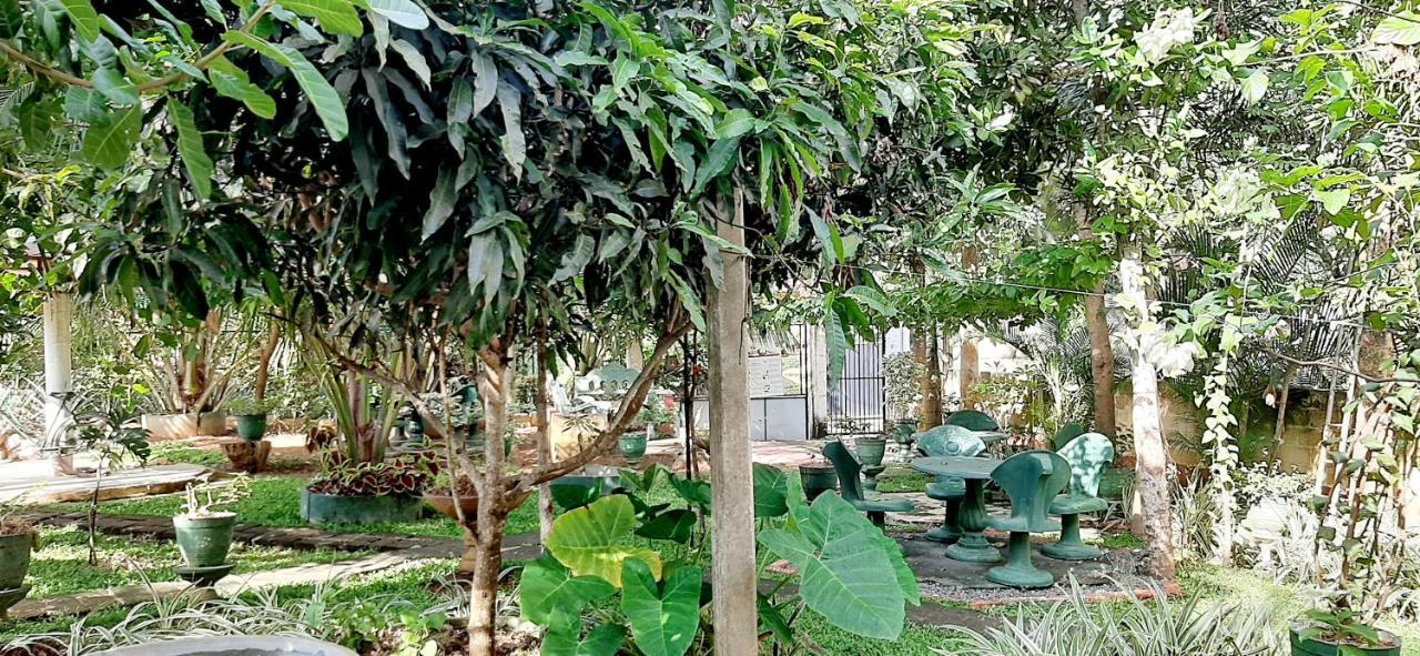 Hiriketiya Cinnamon Garden Dikwella Exterior foto
