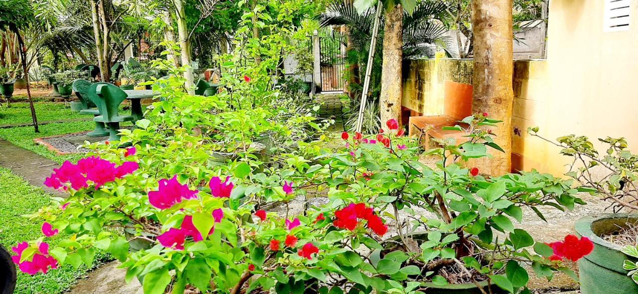 Hiriketiya Cinnamon Garden Dikwella Exterior foto