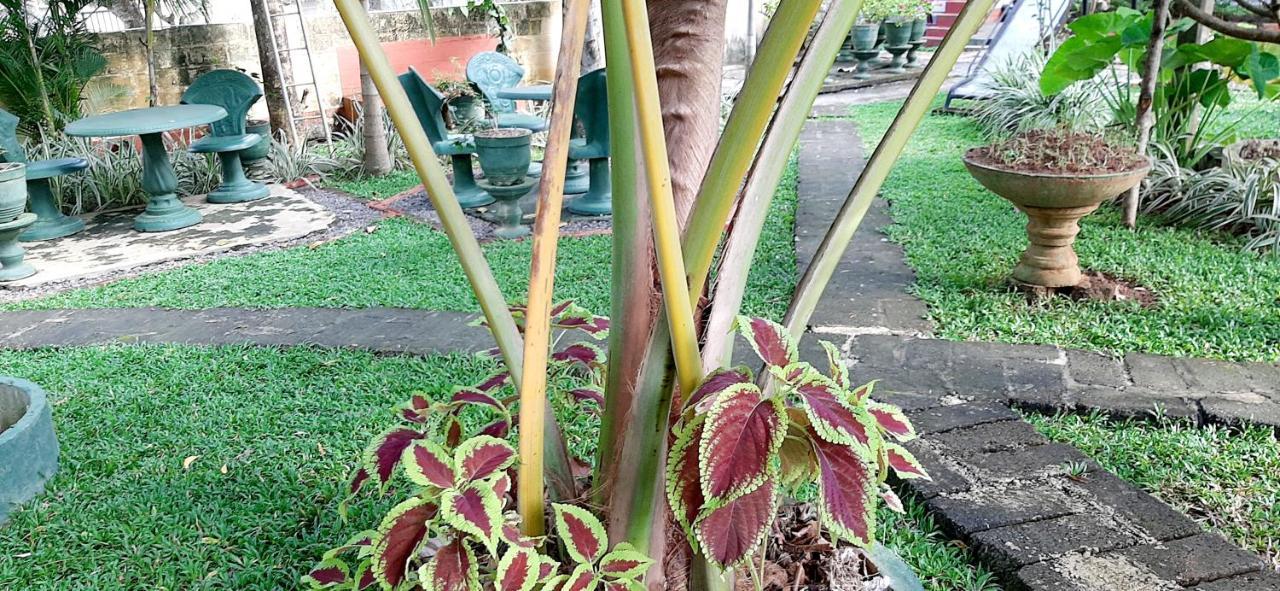 Hiriketiya Cinnamon Garden Dikwella Exterior foto