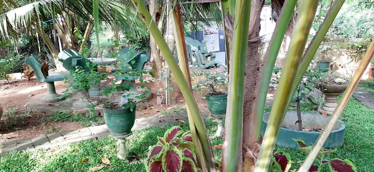 Hiriketiya Cinnamon Garden Dikwella Exterior foto
