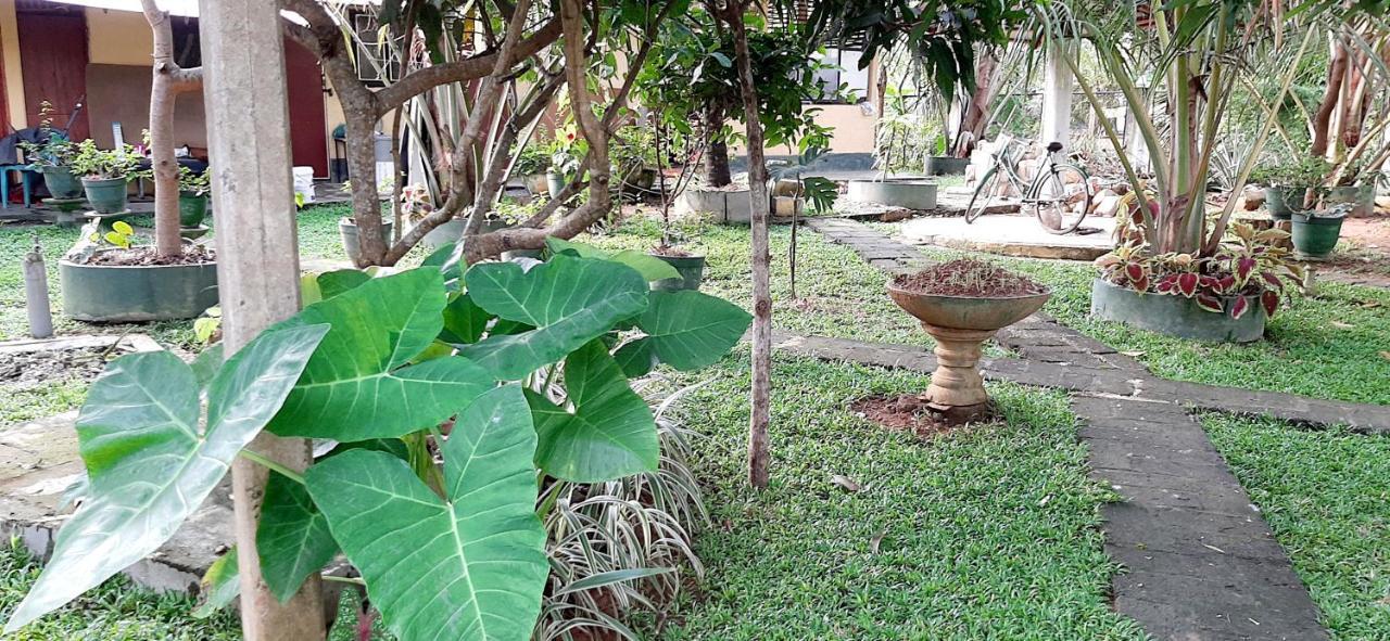 Hiriketiya Cinnamon Garden Dikwella Exterior foto